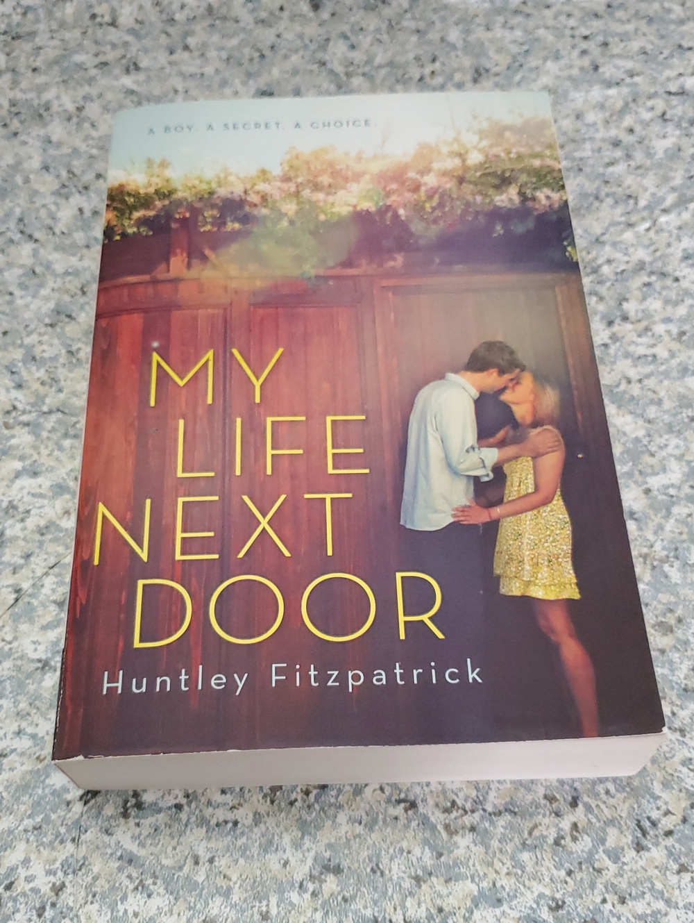 My Life Next Door Huntley Fitzpatrick Paperback Preowned